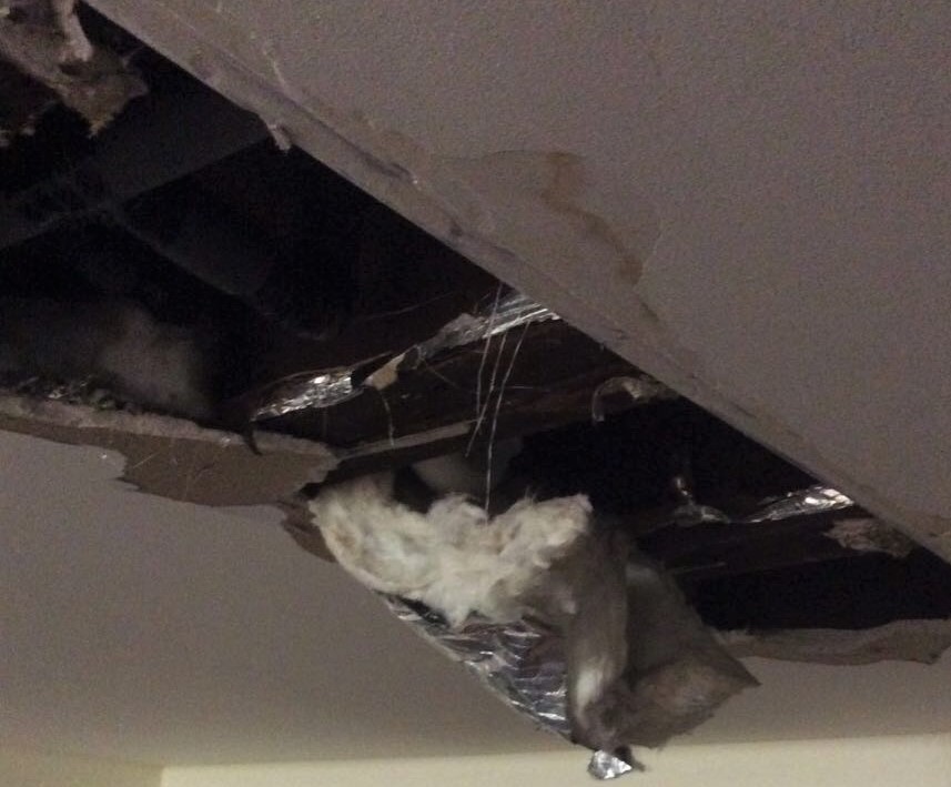 Insulation falling out of ceiling